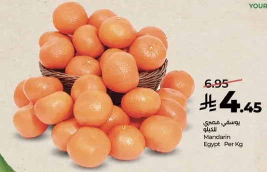 يوسفي مصري الكيلو