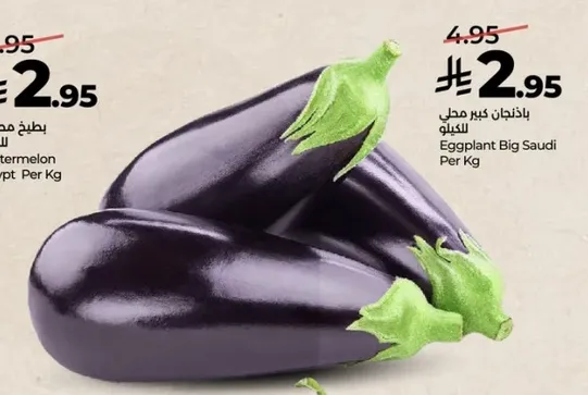 باذنجان كبير سعودي