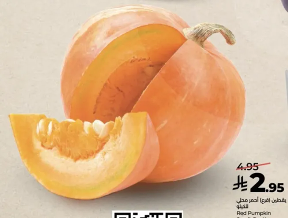 يقطين (فطري) احمر محلي