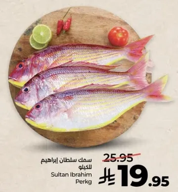 سمك سلطان ابراهيم