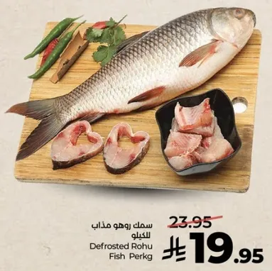 سمك روهو مذاب للكيلو