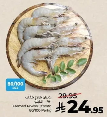 روبيان مزارع مذاب 80/100 الكيلو