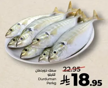 سمك دوردمان للكيلو