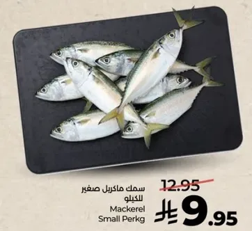 Small mackerel fish.