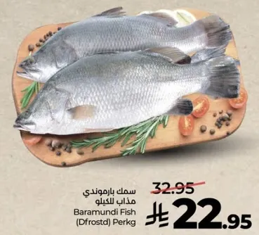 سمك بارموندی مذاب للكيلو