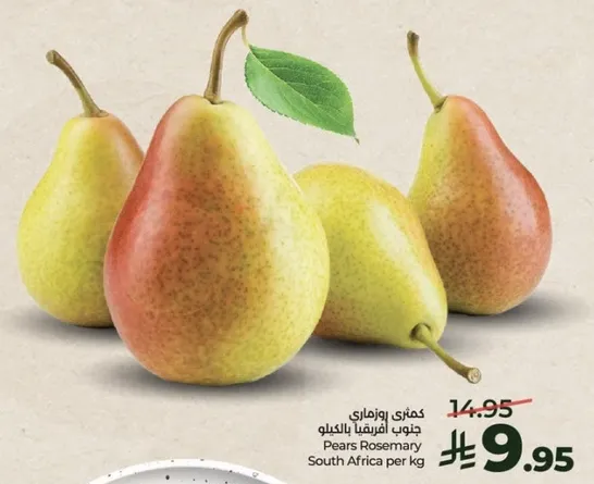 كمثري روزماري جنوب افريقيا بالكيلو