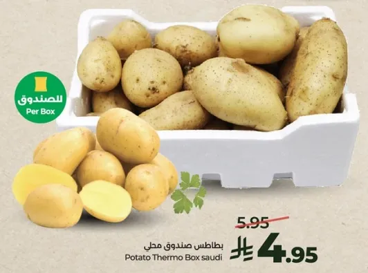 بطاطس صندوق مجل