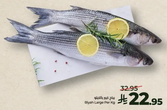 سمك كبير مع الليمون.