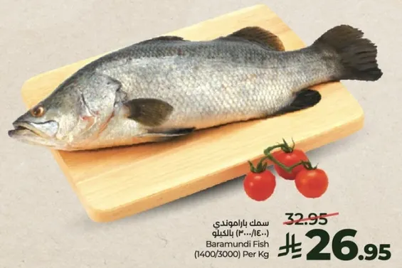 سمك باراموندي (1400/3000) بالكيلو