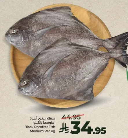 سمك زيندي اسود متوسط بالكيلو