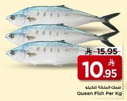 سمك الملكه للكيلو