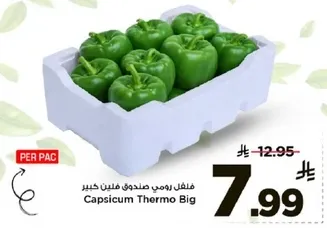 فلفل رومي صندوق فلتين كبير