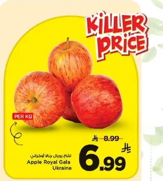 تفاح رويال جالا