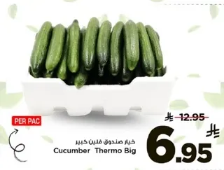 خيار صندوق فلتين كبير