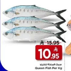 سمك الملكه للكيلو