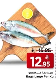 سمك كبير متاح للبيع.