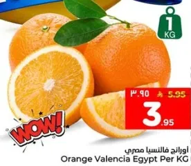 Orange Valencia Egypt Per KG