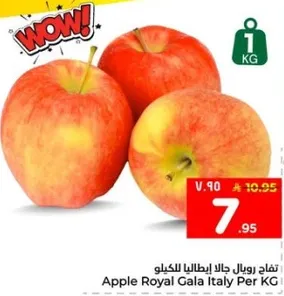 تفاح رويال جالا ايطاليا للكغ