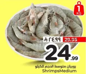 روبيان متوسط الحجم للكيلو