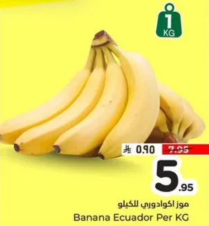 موز اكوادوري للكيلو