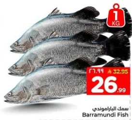 سمك الباراموندي