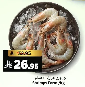 جمبري مزارع / كيلو