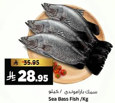 سمك باراموندي / كيلو