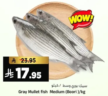 سمك بوري وسط /كيلو