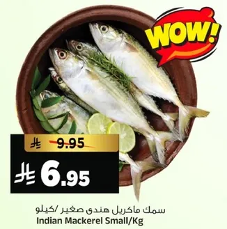 سمك ماكريل هندي صغير/كغ