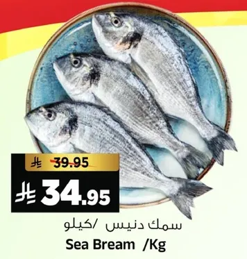 سمك دنيس/كيلو