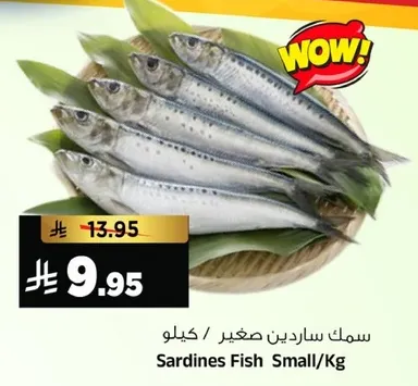 سمك ساردين صغير / كيلو
