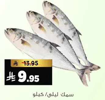 سمك طازج متاح للبيع.