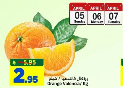 برتقال فالنسيا