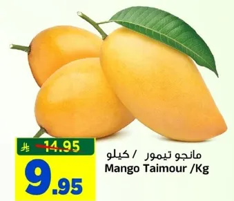 مانجو تيمور / كيلوجرام