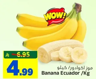 موز اكوادور / كغ