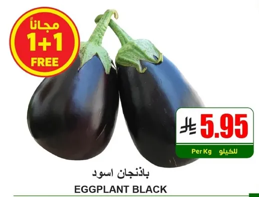 باذنجان اسود