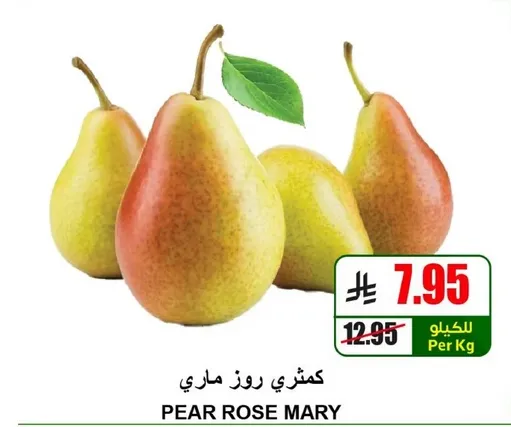 كمثري روز ماري