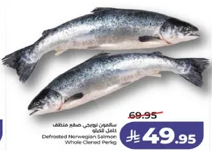 سالمون نرويجي مجمد كامل للطبخ