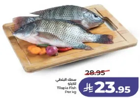 سمك البلطي للكيلو