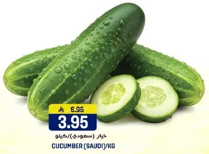 Cucumber (Saudi)