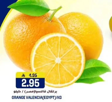 برتقال فانسيا (مصر) / كيلو