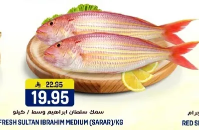 سمك سلطان ابراهيم وسط (سارار) / كيلو