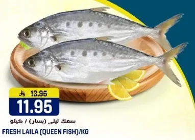 سمك ليلي (بسام) لكل كيلو.