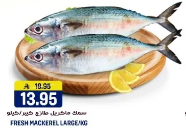 سمك ماكريل طازج كبير/كيلو
