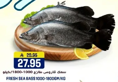 سمك قاروص طازج 1000-1800 جرام/كيلو