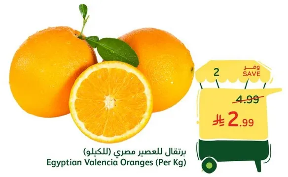 برتقال للعصير مصري (بالكيلو)