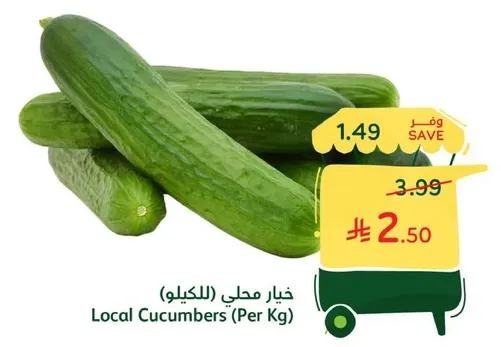 Local Cucumbers (Per Kg)