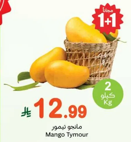 مانجو تيمور