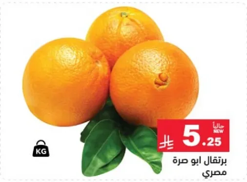 برتقال ابو صره مصري.