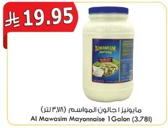 مايونيز الجالون المواسيم 1 (3.78 لتر)